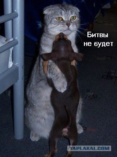 Дорогие господа фотожаберы!