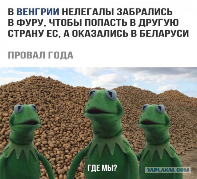 Нестандартный юмор