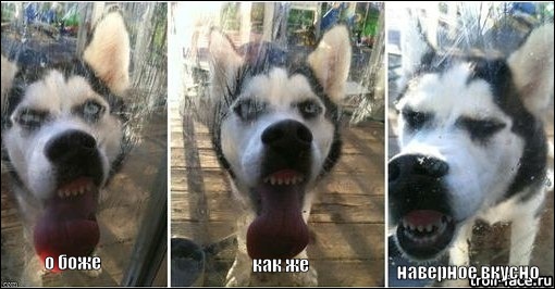 Пикантный салат из кабачков.