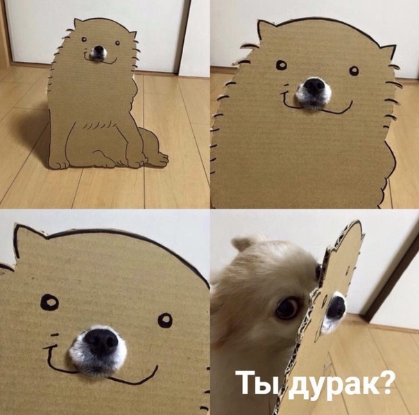 Штук тридцать