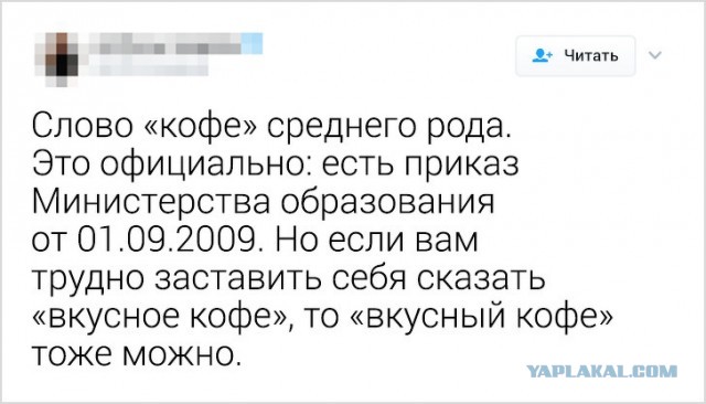 Русский язык может свести с ума даже тех, кто знает его с рождения
