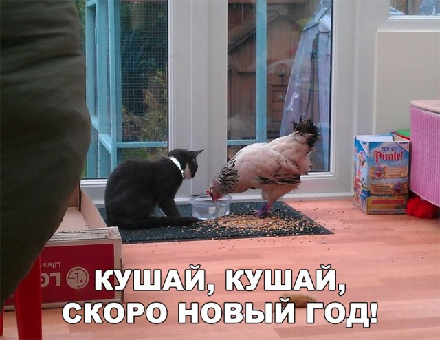Немного картинок для настроения 10.01.20