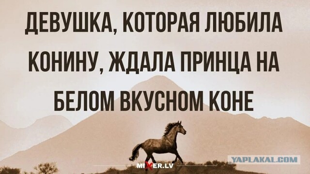 Мужчины сами культивируют в женщинах меркантильность?