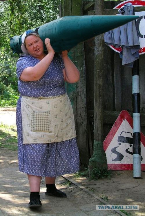 фотожаба: с бревном