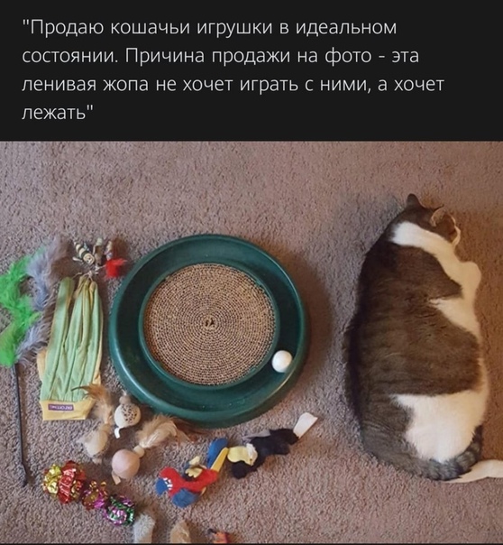 Моя подборка картинок для любимого сайта с любимого сайта