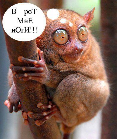 Картинки разные
