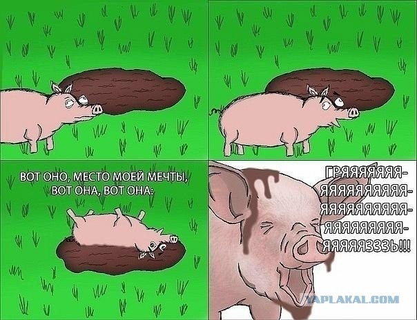 Рыба Моей Мечты