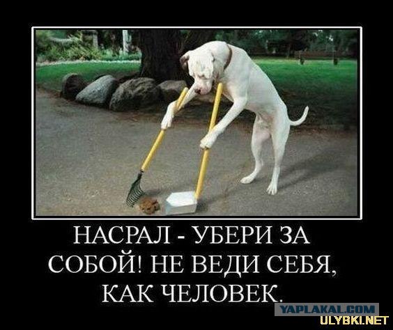 СтопКал