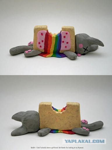 Шотландский вислоухий просится на обнимашки