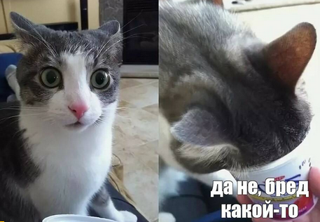 Три позы для секса, при которых легче всего сломать пенис