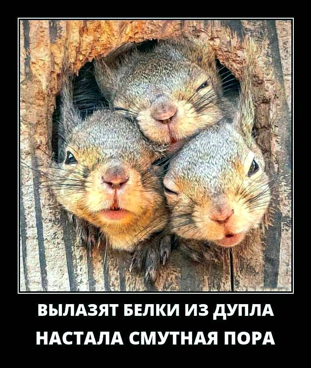 Воскресные картинки