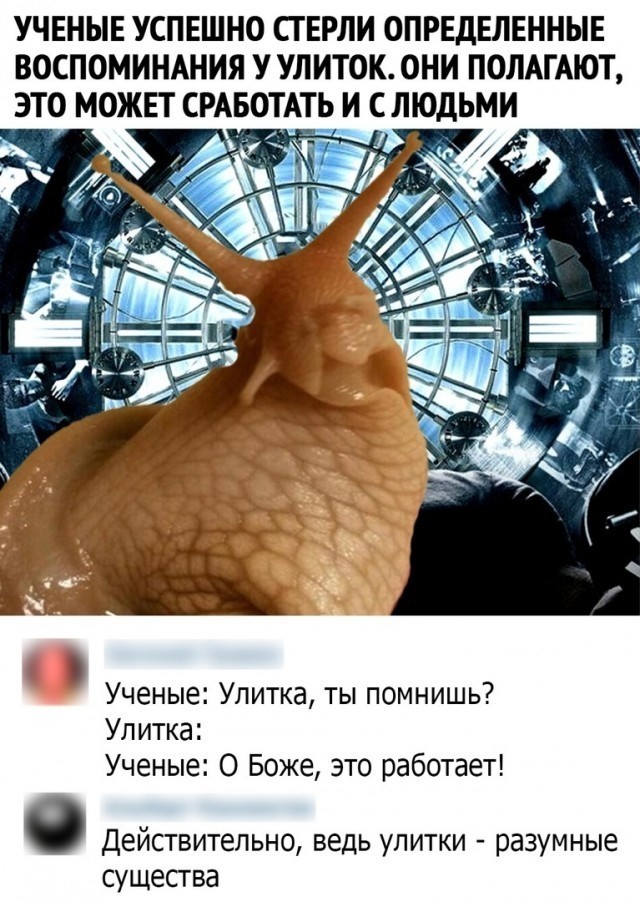 Так себе картинки 30.05.21