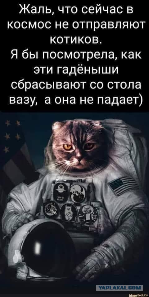 Последняя картинка в вашей Галерее/Загрузках