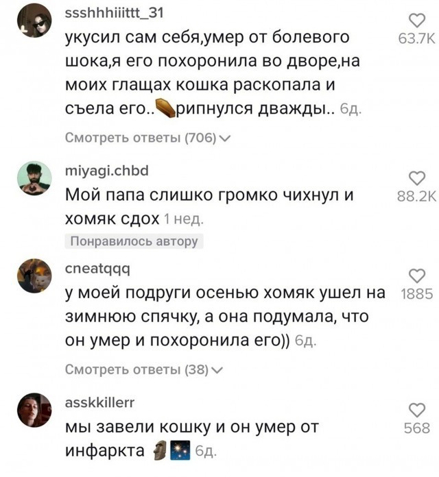 Весёлый полтишок 5.07