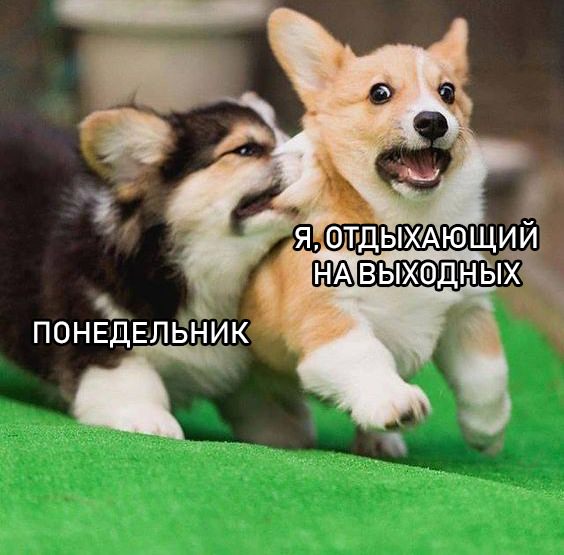 Йумористические картинки 12.08.2021