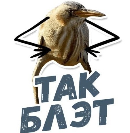 Мастер класс на парковке