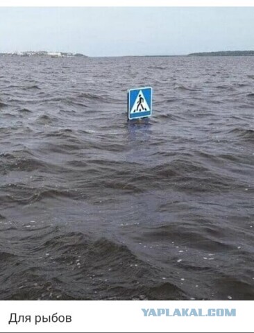 Так себе картинки 15.10.21