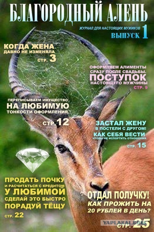 "После кого-то брезгую" слова мужа жене после её признания