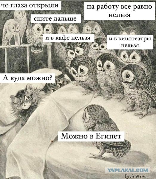 Будем до нового года сидеть…
