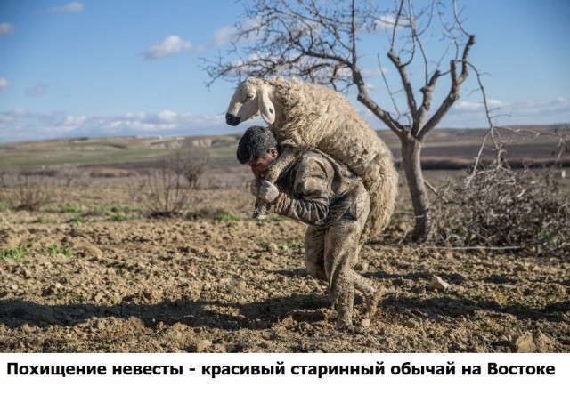 Подеградируем, побаяним...