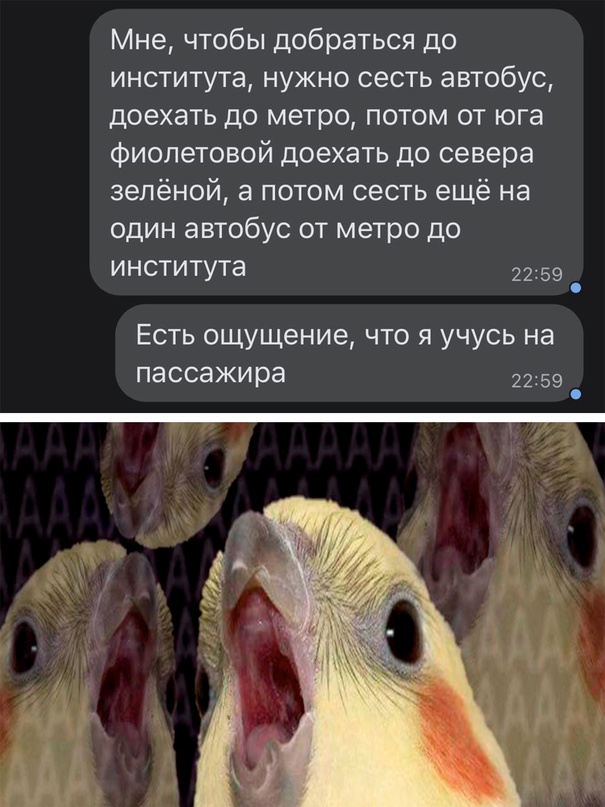 Весёлый полтишок 18.02