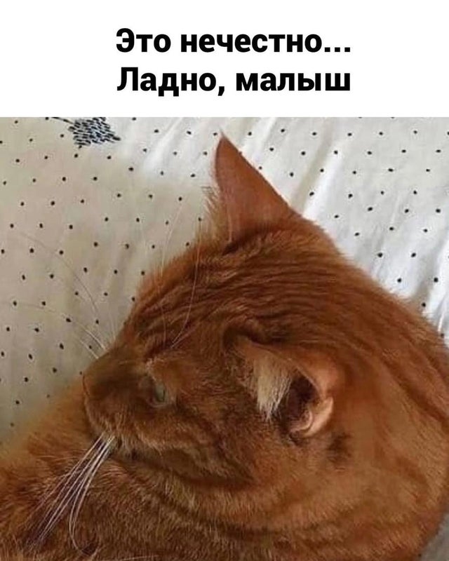 Семейное
