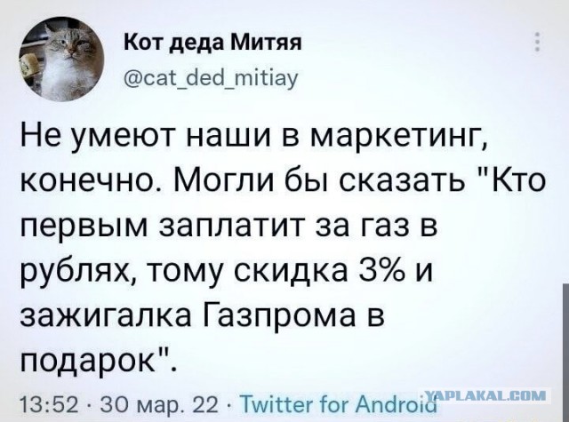 Так себе картинки 05.04.22