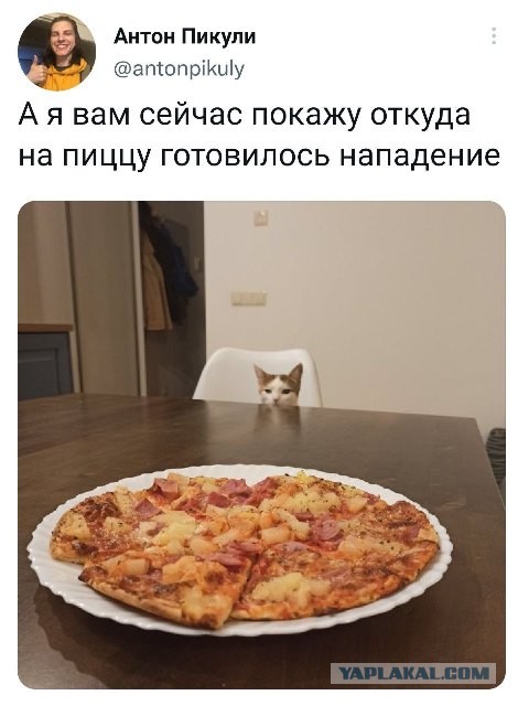 Так себе картинки 08.05.22