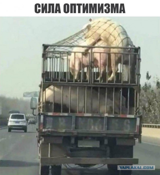 50 оттенков серого если самосвал баянов. Vol.21