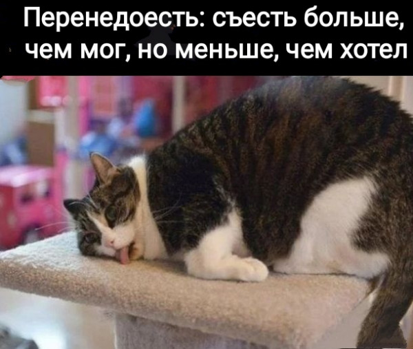 Так себе картинки 30.10.22