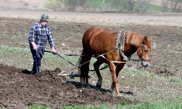 Каспер\Сиськи