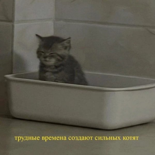 Прикольные и просто красивые картинки 17.01.2023