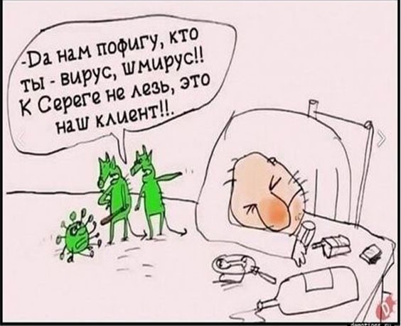 Так себе картинки 17.01.23