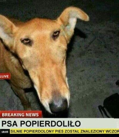 Вопрос знатокам!