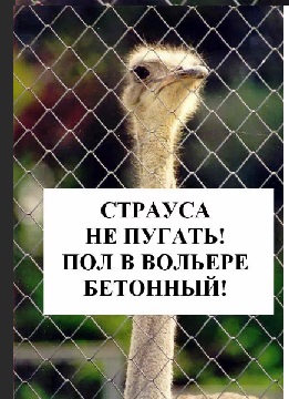 На всей территории Украины объявлена воздушная тревога