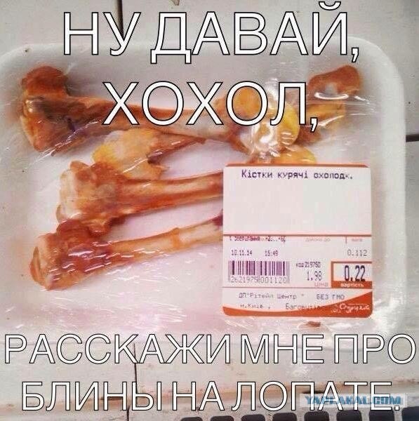 Опять про огурцы