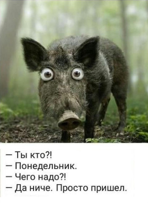 Так себе картинки 22.02.23