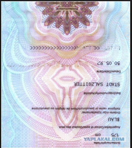 У гроба Папы Иоанна Павла II
