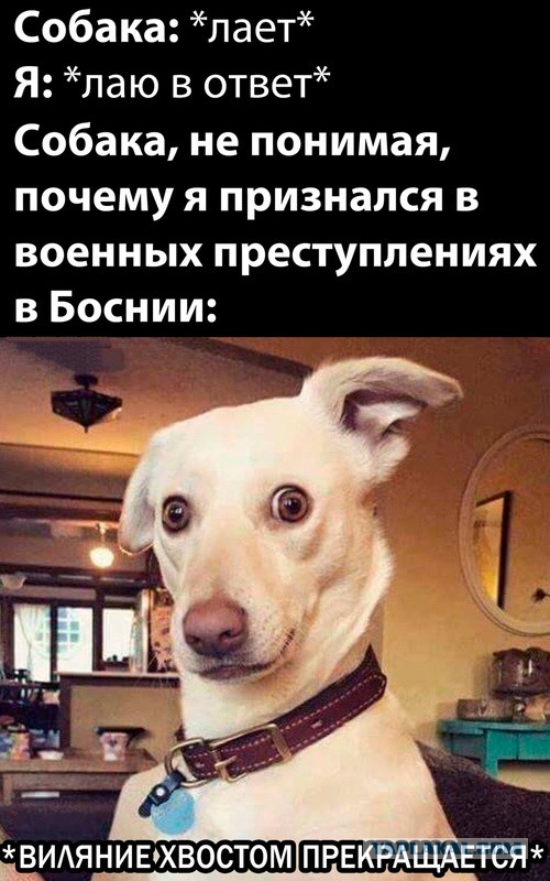 Вот и поговорили