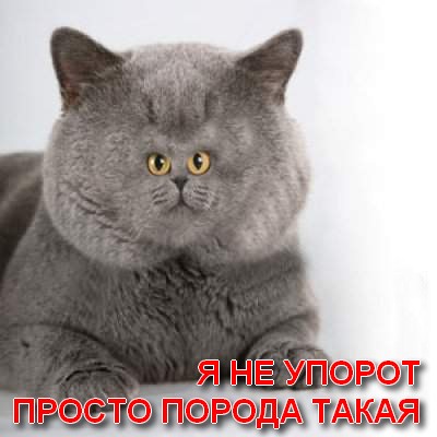 Приземление