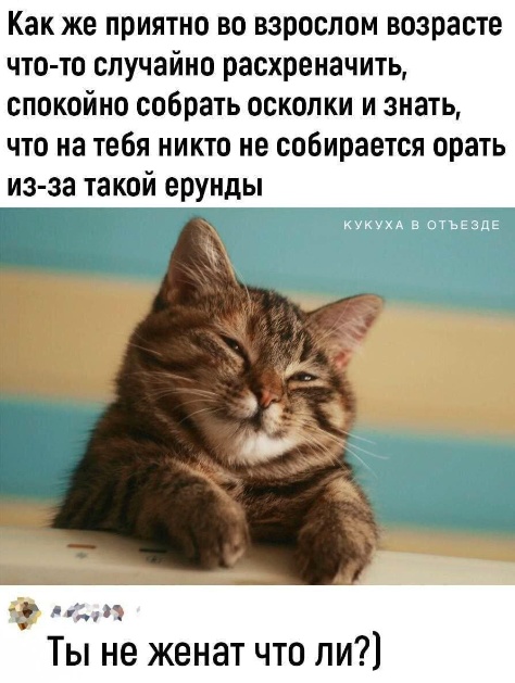 Так себе картинки 14.04.24