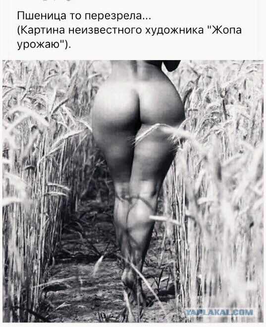 Завалялось тут случайно немного забавных картинок