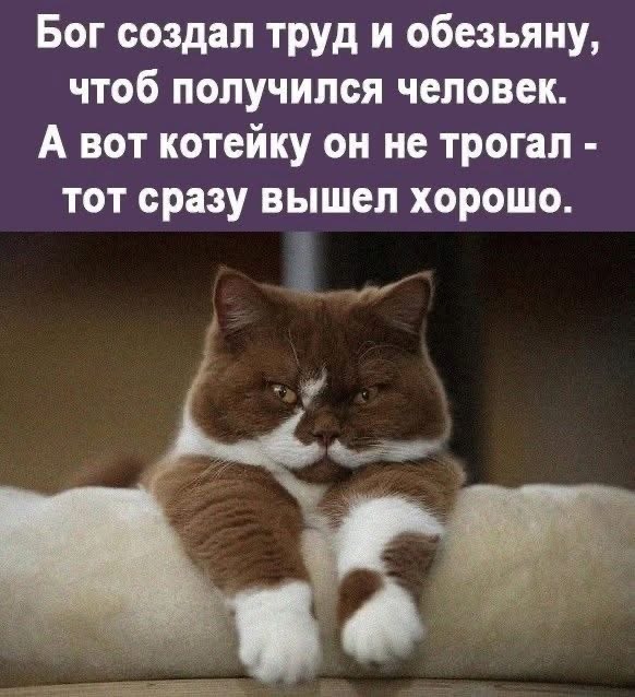 Так себе картинки 29.12.24