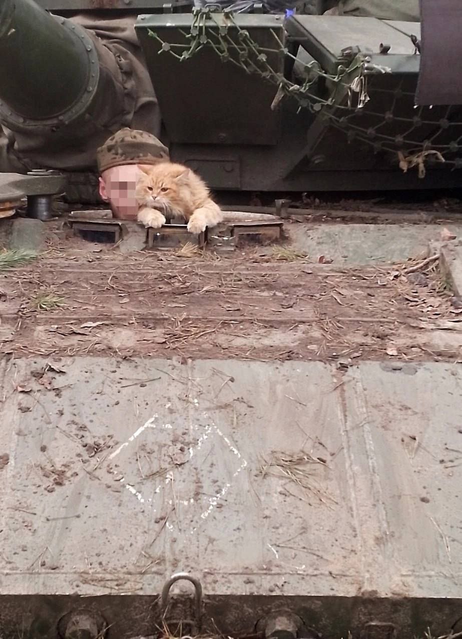 Три танкиста и кот