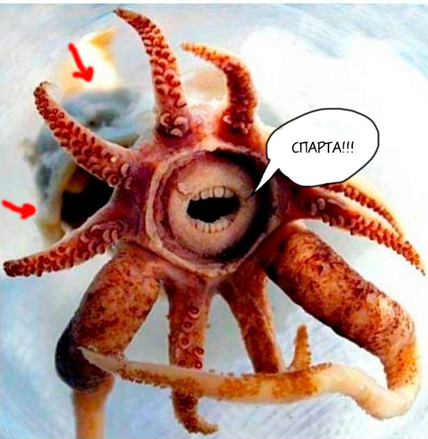 Почему же не стоит связываться с океаном?