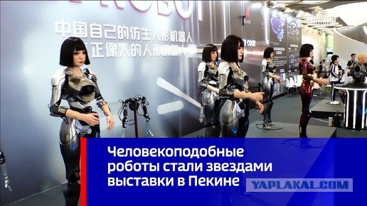 Робототехника идёт вперёд огромными шагами