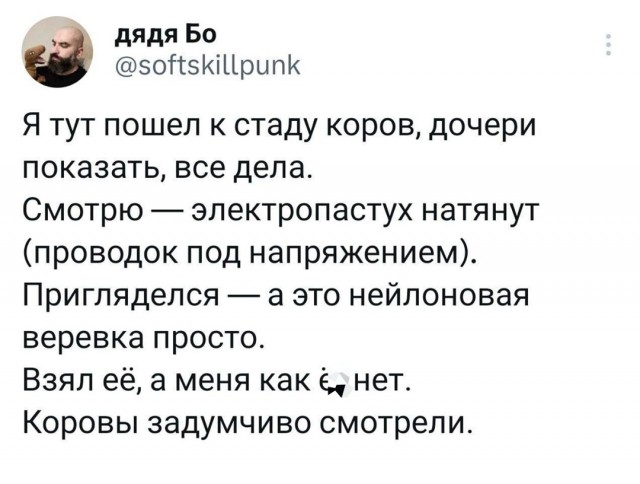Так себе картинки 10.06.25