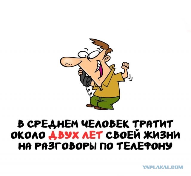 Весёлый полтишок 08.07.25