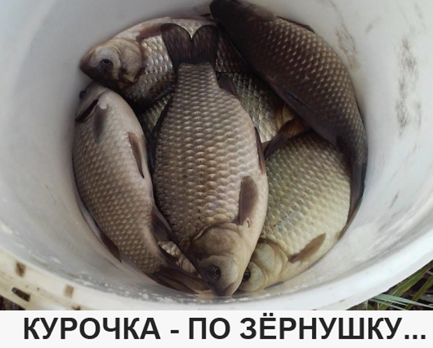 Ну, с днем Рыбака!