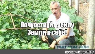 Царь-огурец достали из жительницы Уфы
